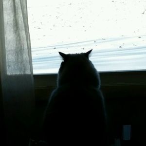 Meet your Posher, Sheila